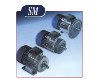 SM系列高效电机
